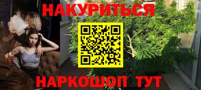 стафф Заводоуковск